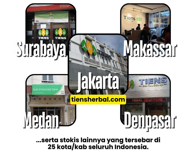 stokis tiens indonesia