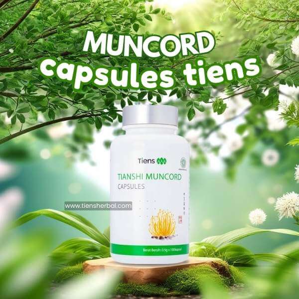 muncord-capsules-tiens-tianshi-cordyceps