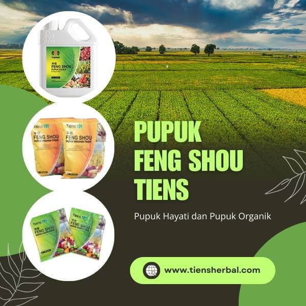 pupuk-feng-shou-tiens-tianshi-hayati-organik